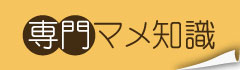 専門豆知識　用語集